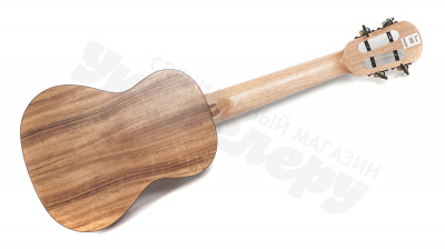 Укулеле Концерт Nalu N-660C с чехлом